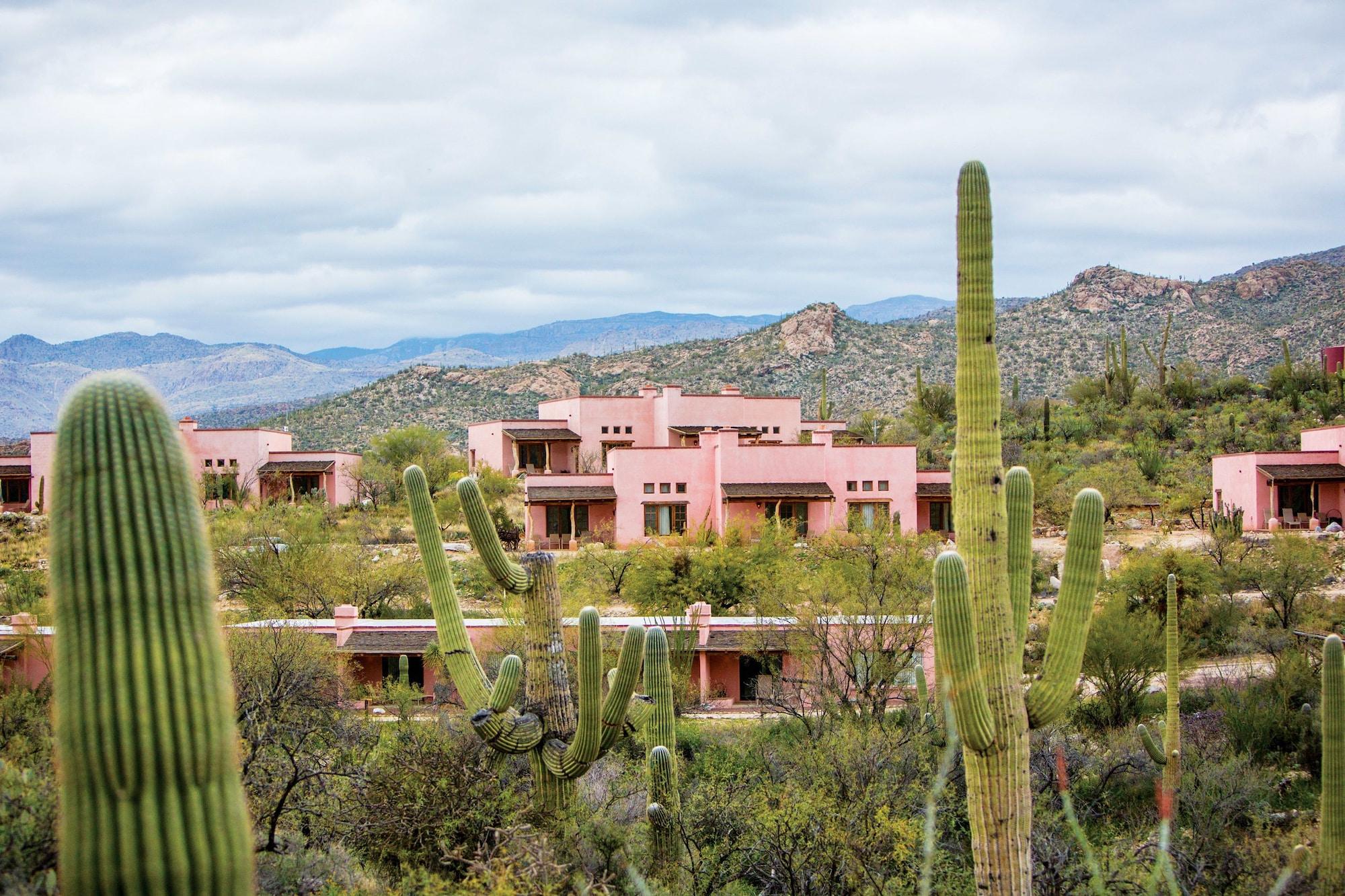 Tanque Verde Guest Ranch Villa Tucson Esterno foto