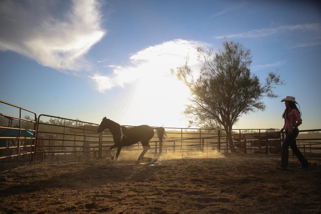 Tanque Verde Guest Ranch Villa Tucson Esterno foto