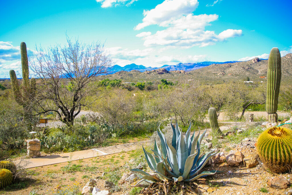 Tanque Verde Guest Ranch Villa Tucson Esterno foto